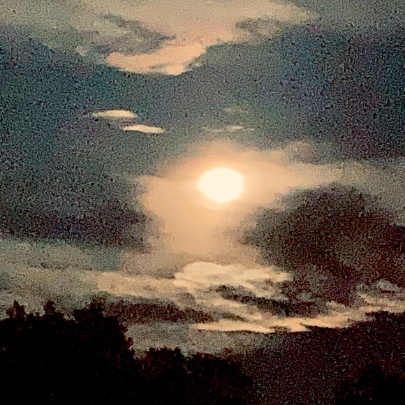 Meet your Posher, Julie - Picture 1 of 1